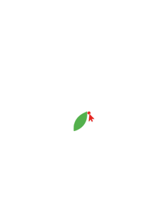 kır 8